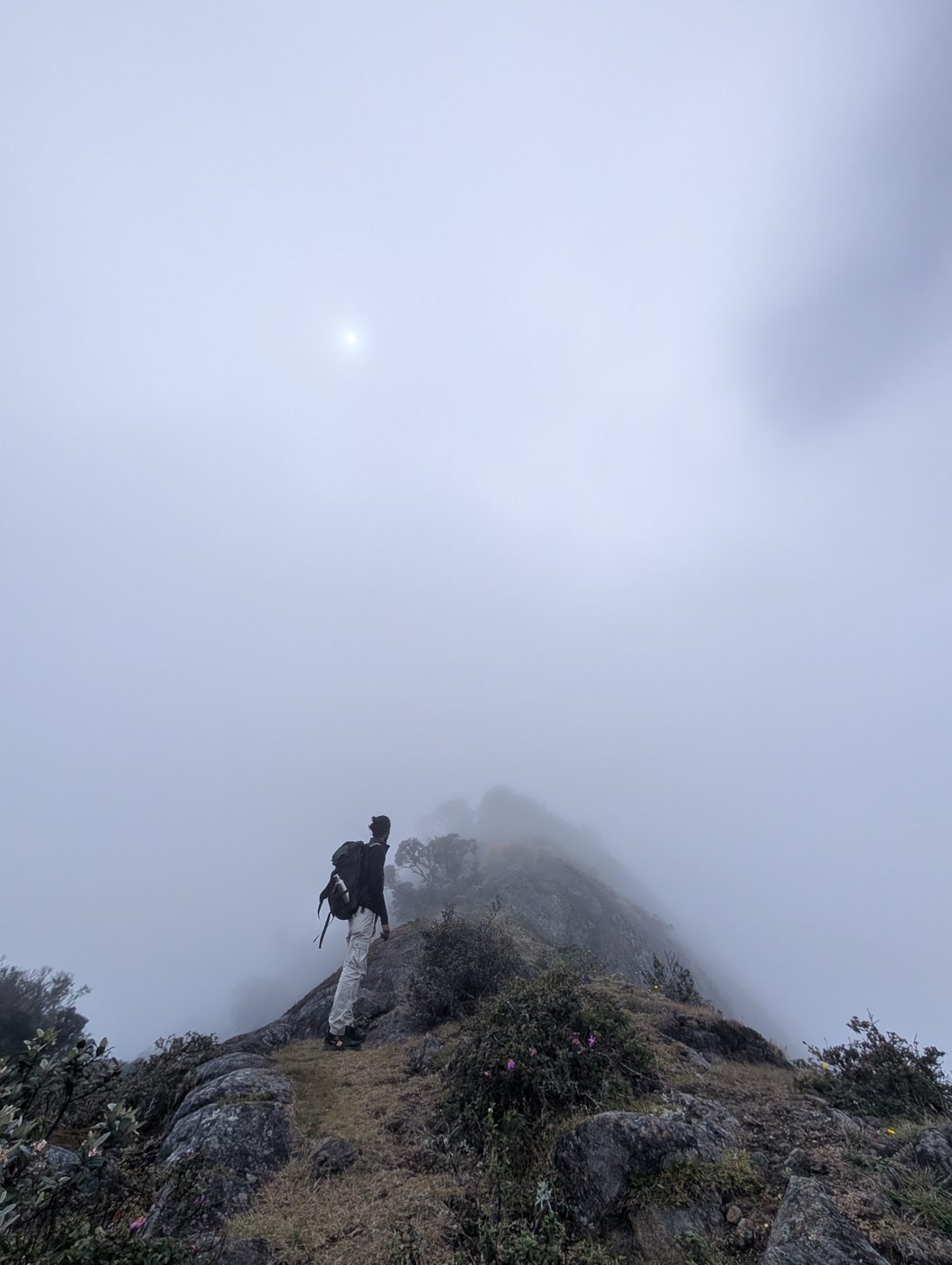 A hiker on the Kirigalpoththa summit, surrounded by mist